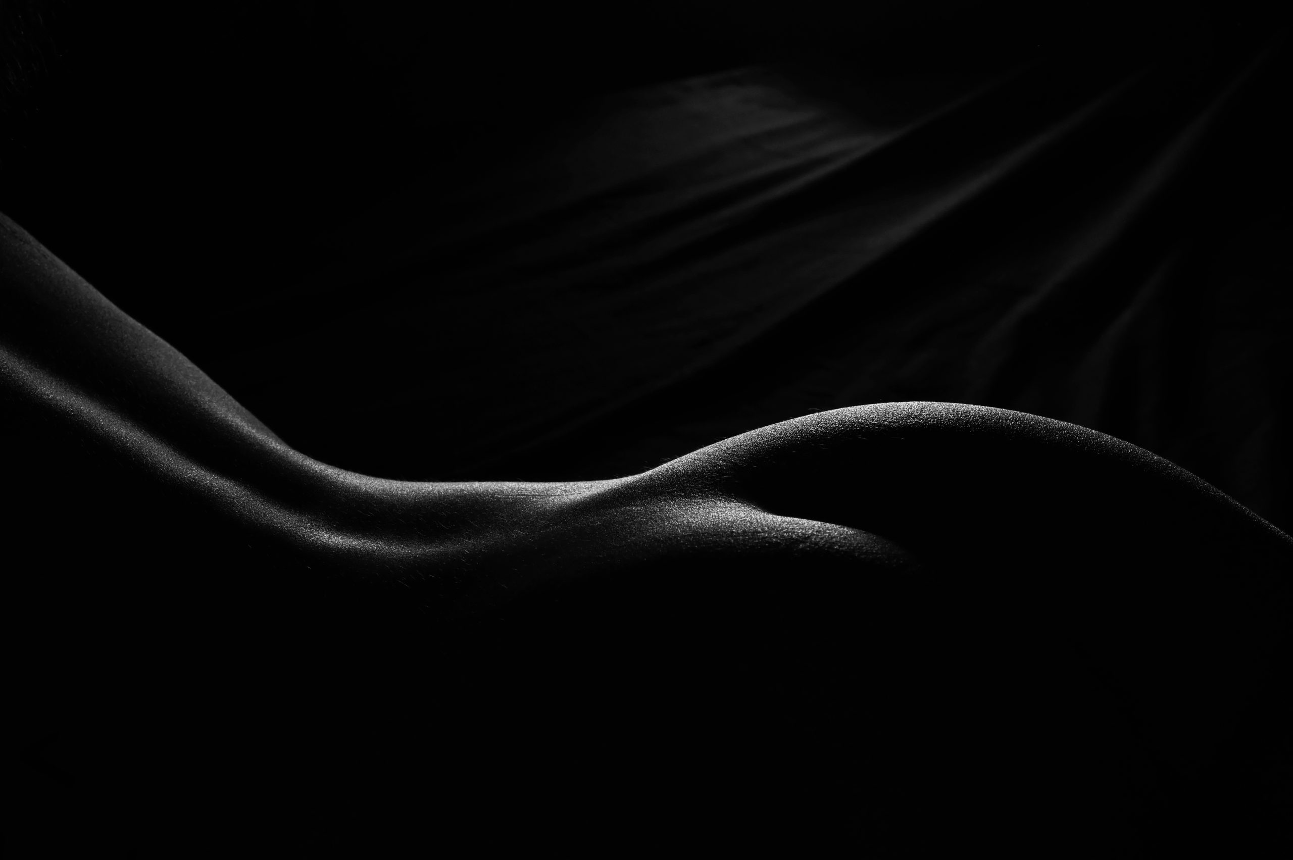 Bodyscape