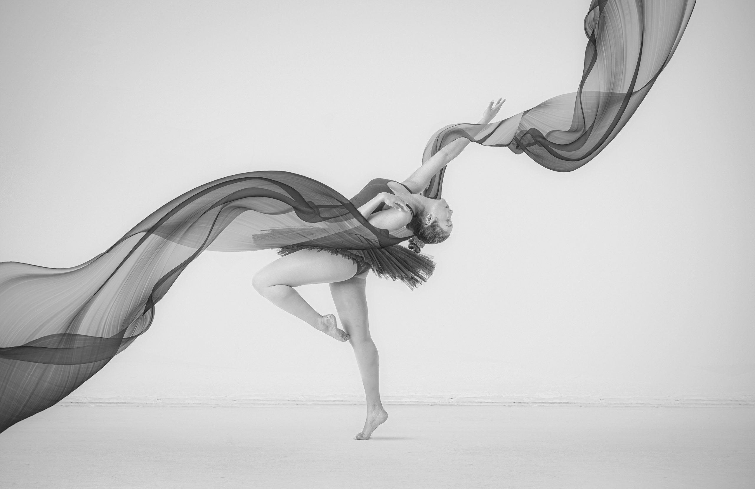 Monthly Photography Competition